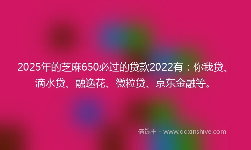 2025年的芝麻650必过的贷款2022有：你我贷、滴水贷、融逸花、微粒贷、京东金融等。