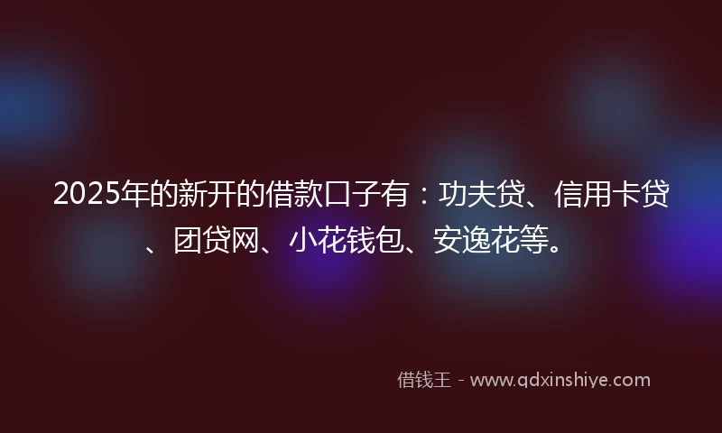 2025年的新开的借款口子有：功夫贷、信用卡贷、团贷网、小花钱包、安逸花等。