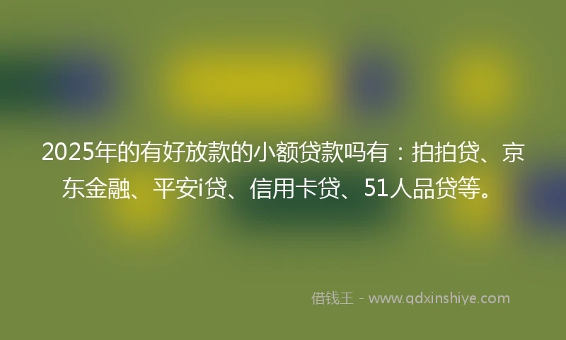 2025年的有好放款的小额贷款吗有：拍拍贷、京东金融、平安i贷、信用卡贷、51人品贷等。