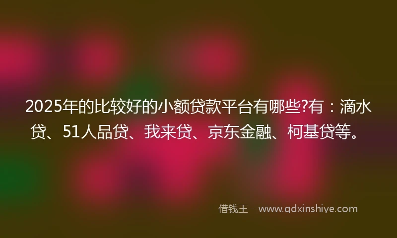 2025年的比较好的小额贷款平台有哪些?有：滴水贷、51人品贷、我来贷、京东金融、柯基贷等。