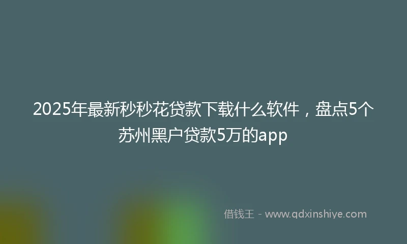 2025年最新秒秒花贷款下载什么软件，盘点5个苏州黑户贷款5万的app