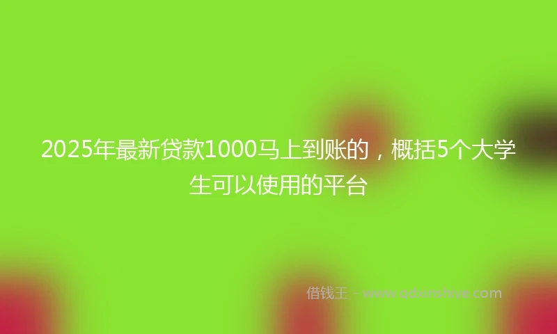 2025年最新贷款1000马上到账的，概括5个大学生可以使用的平台