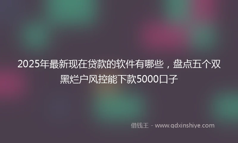 2025年最新现在贷款的软件有哪些，盘点五个双黑烂户风控能下款5000口子