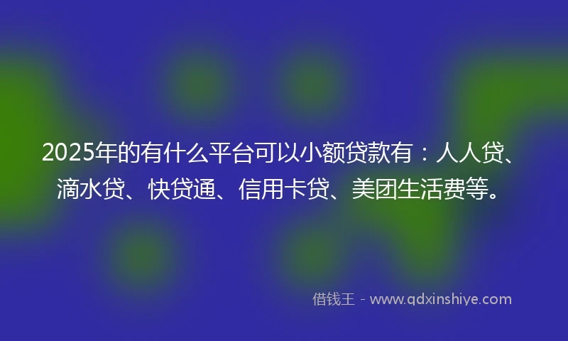 2025年的有什么平台可以小额贷款有：人人贷、滴水贷、快贷通、信用卡贷、美团生活费等。