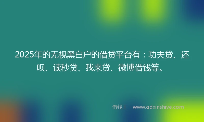 2025年的无视黑白户的借贷平台有：功夫贷、还呗、读秒贷、我来贷、微博借钱等。