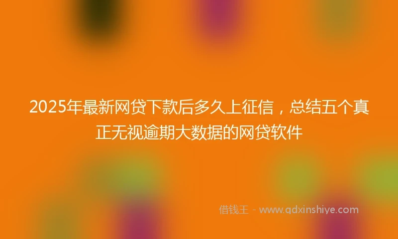 2025年最新网贷下款后多久上征信，总结五个真正无视逾期大数据的网贷软件