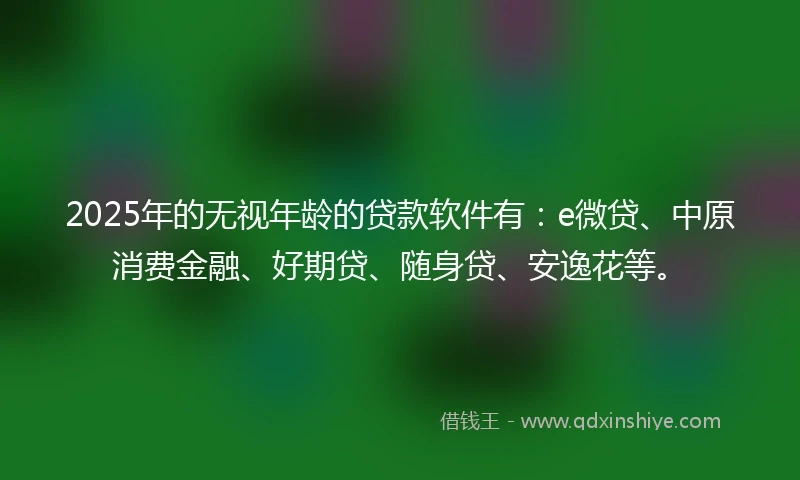 2025年的无视年龄的贷款软件有：e微贷、中原消费金融、好期贷、随身贷、安逸花等。