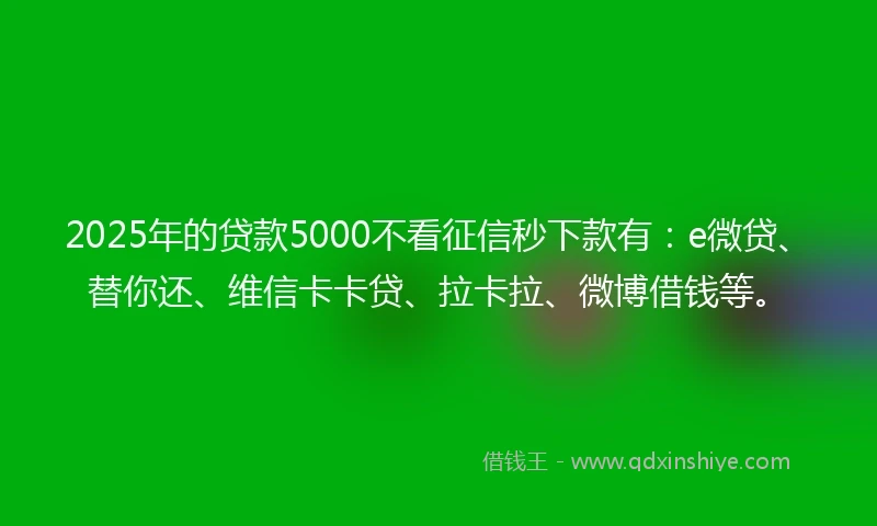 2025年的贷款5000不看征信秒下款有：e微贷、替你还、维信卡卡贷、拉卡拉、微博借钱等。