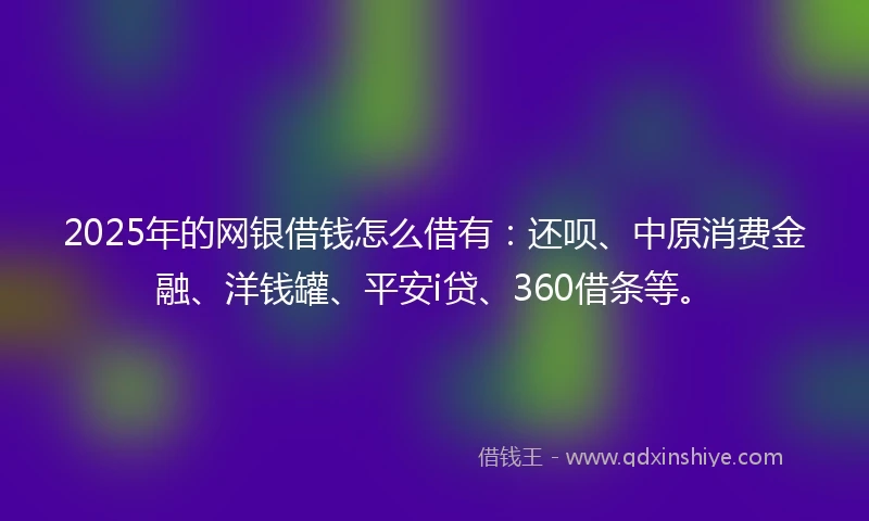 2025年的网银借钱怎么借有：还呗、中原消费金融、洋钱罐、平安i贷、360借条等。