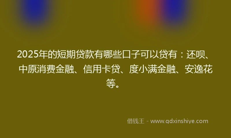 2025年的短期贷款有哪些口子可以贷有：还呗、中原消费金融、信用卡贷、度小满金融、安逸花等。
