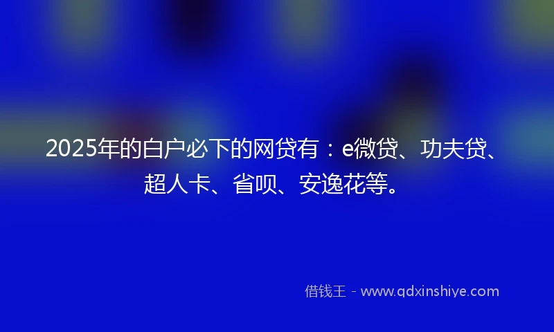 2025年的白户必下的网贷有：e微贷、功夫贷、超人卡、省呗、安逸花等。
