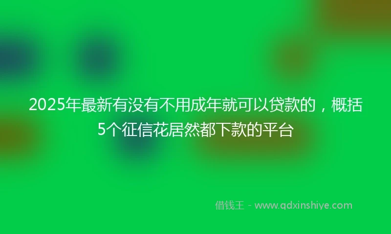 2025年最新有没有不用成年就可以贷款的，概括5个征信花居然都下款的平台