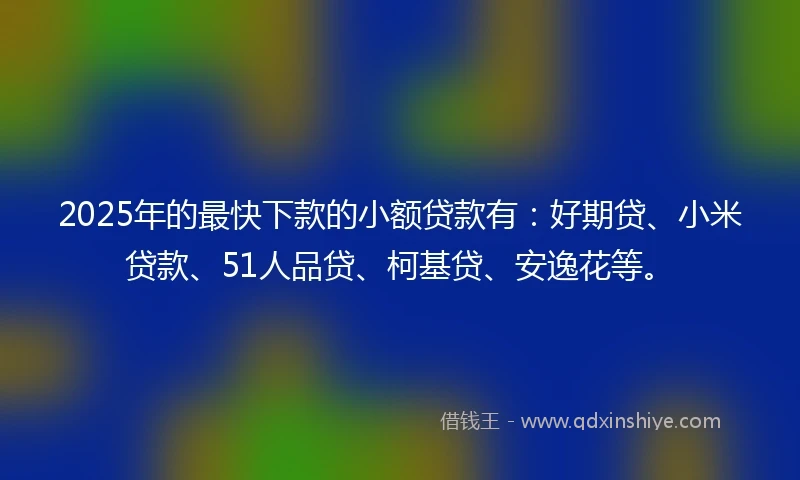 2025年的最快下款的小额贷款有：好期贷、小米贷款、51人品贷、柯基贷、安逸花等。