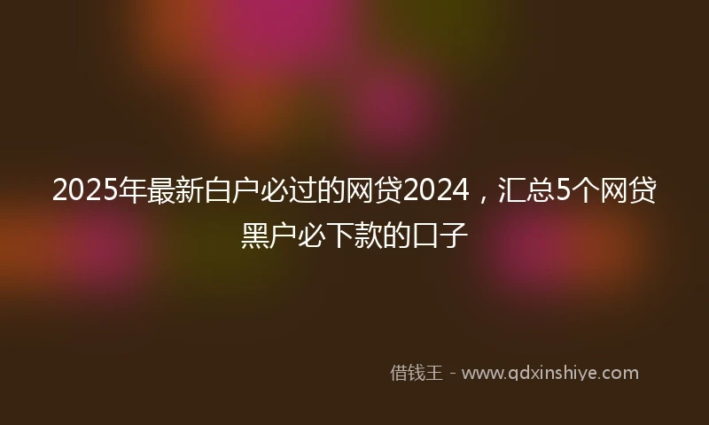 2025年最新白户必过的网贷2024，汇总5个网贷黑户必下款的口子