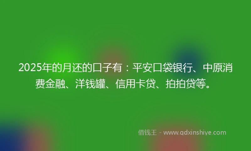 2025年的月还的口子有：平安口袋银行、中原消费金融、洋钱罐、信用卡贷、拍拍贷等。