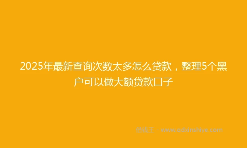 2025年最新查询次数太多怎么贷款，整理5个黑户可以做大额贷款口子
