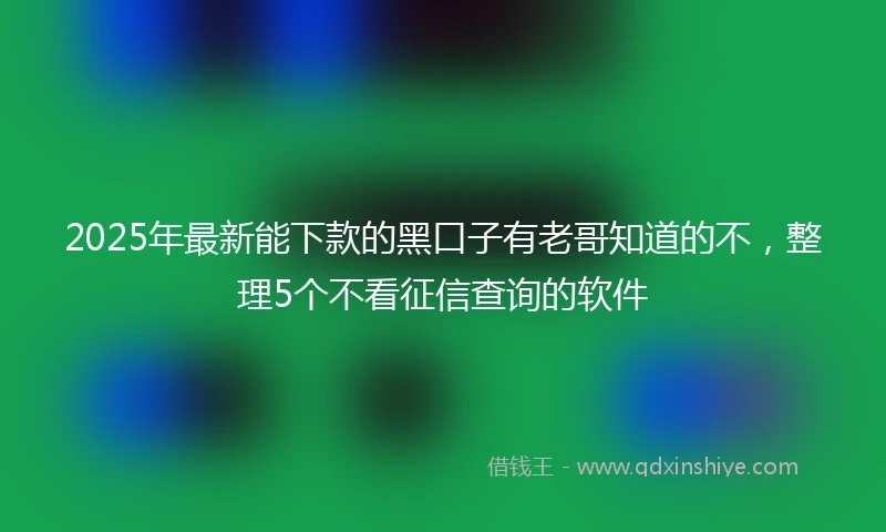 2025年最新能下款的黑口子有老哥知道的不，整理5个不看征信查询的软件
