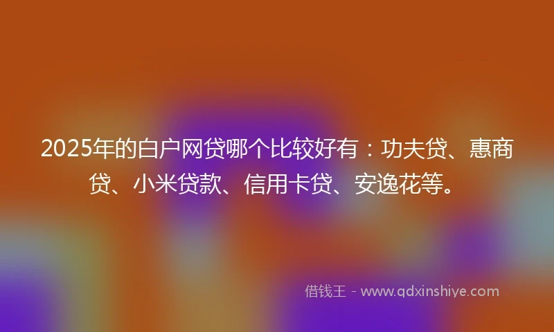 2025年的白户网贷哪个比较好有：功夫贷、惠商贷、小米贷款、信用卡贷、安逸花等。