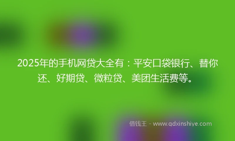 2025年的手机网贷大全有：平安口袋银行、替你还、好期贷、微粒贷、美团生活费等。