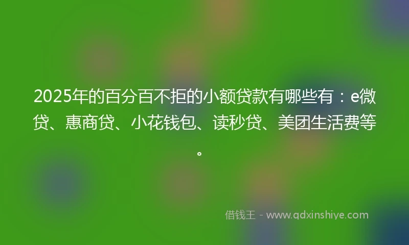2025年的百分百不拒的小额贷款有哪些有：e微贷、惠商贷、小花钱包、读秒贷、美团生活费等。