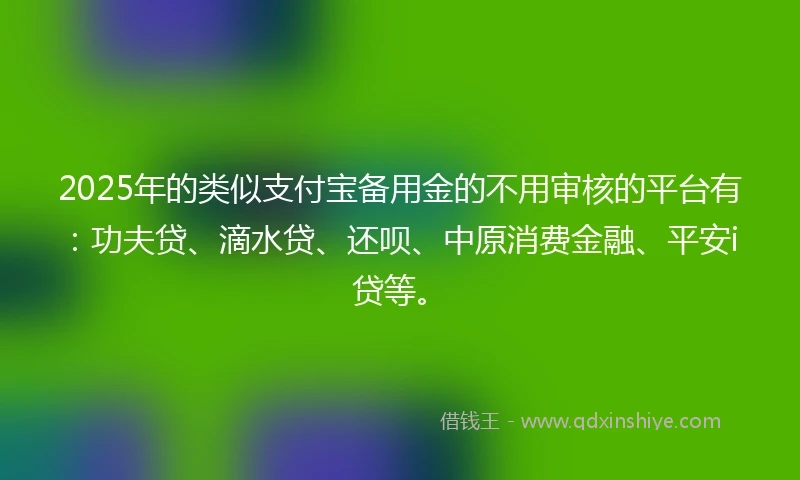2025年的类似支付宝备用金的不用审核的平台有：功夫贷、滴水贷、还呗、中原消费金融、平安i贷等。