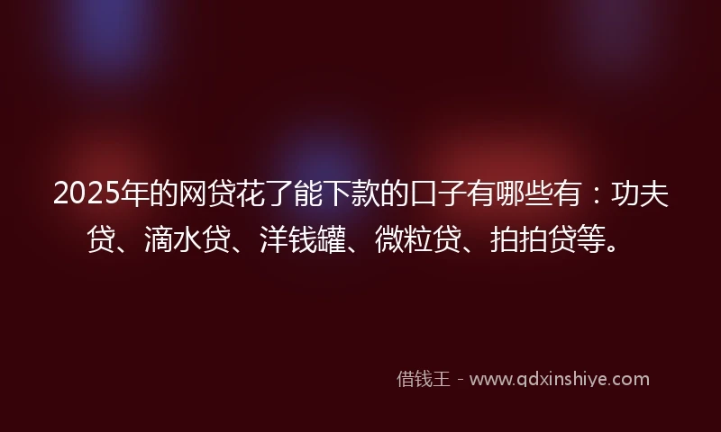 2025年的网贷花了能下款的口子有哪些有：功夫贷、滴水贷、洋钱罐、微粒贷、拍拍贷等。