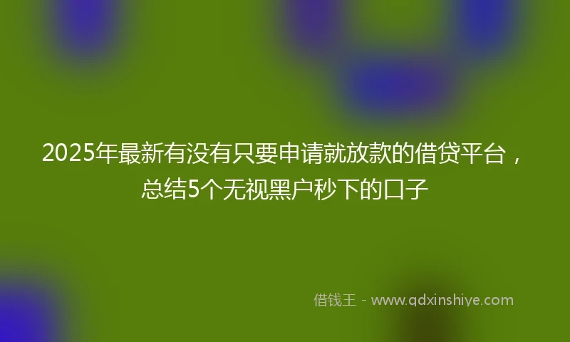 2025年最新有没有只要申请就放款的借贷平台，总结5个无视黑户秒下的口子