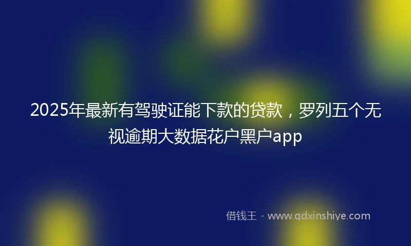 2025年最新有驾驶证能下款的贷款,罗列五个无视逾期大数据花户黑户app