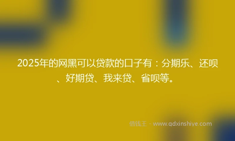 2025年的网黑可以贷款的口子有：分期乐、还呗、好期贷、我来贷、省呗等。
