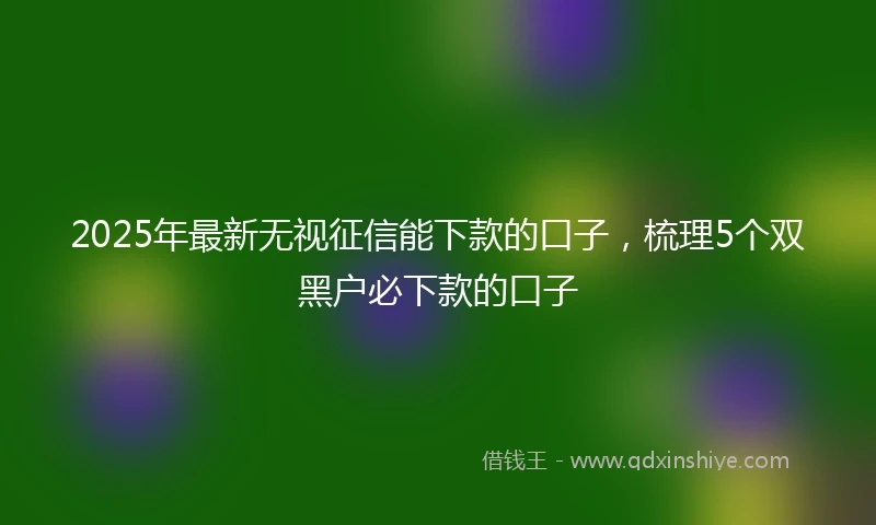 2025年最新无视征信能下款的口子，梳理5个双黑户必下款的口子