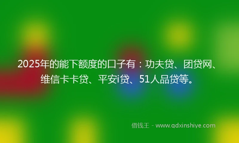 2025年的能下额度的口子有：功夫贷、团贷网、维信卡卡贷、平安i贷、51人品贷等。