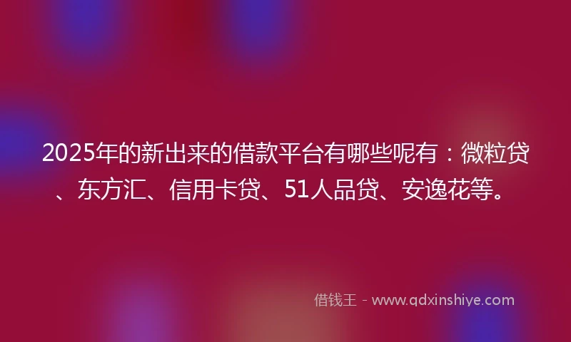 2025年的新出来的借款平台有哪些呢有：微粒贷、东方汇、信用卡贷、51人品贷、安逸花等。