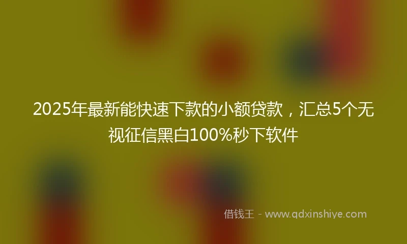 2025年最新能快速下款的小额贷款，汇总5个无视征信黑白100%秒下软件