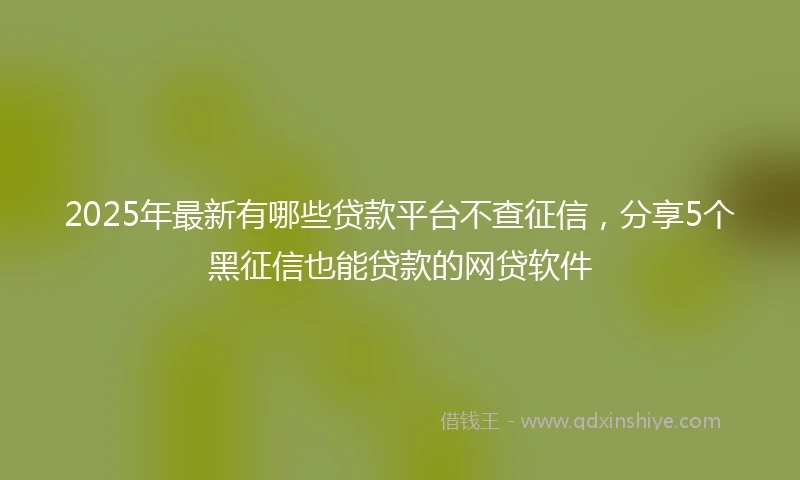 2025年最新有哪些贷款平台不查征信，分享5个黑征信也能贷款的网贷软件
