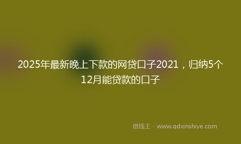 2025年最新晚上下款的网贷口子2021，归纳5个12月能贷款的口子