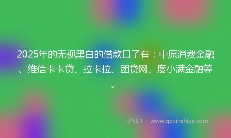 2025年的无视黑白的借款口子有：中原消费金融、维信卡卡贷、拉卡拉、团贷网、度小满金融等。