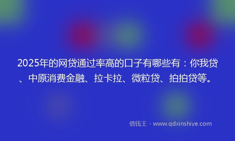 2025年的网贷通过率高的口子有哪些有：你我贷、中原消费金融、拉卡拉、微粒贷、拍拍贷等。
