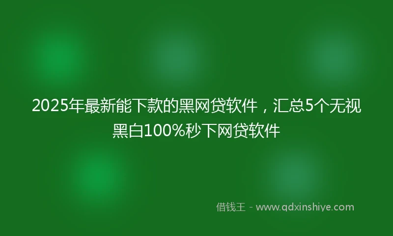 2025年最新能下款的黑网贷软件，汇总5个无视黑白100%秒下网贷软件