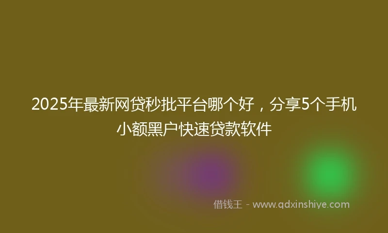 2025年最新网贷秒批平台哪个好，分享5个手机小额黑户快速贷款软件