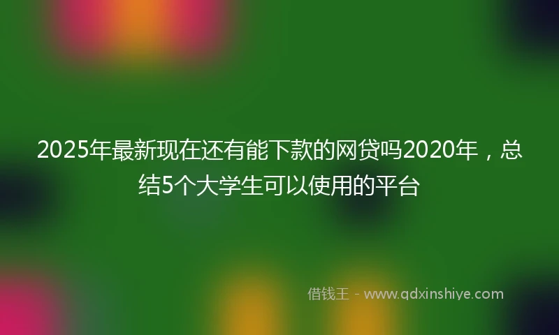 2025年最新现在还有能下款的网贷吗2020年，总结5个大学生可以使用的平台