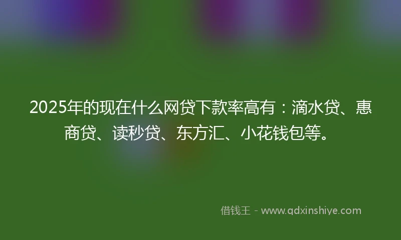 2025年的现在什么网贷下款率高有：滴水贷、惠商贷、读秒贷、东方汇、小花钱包等。