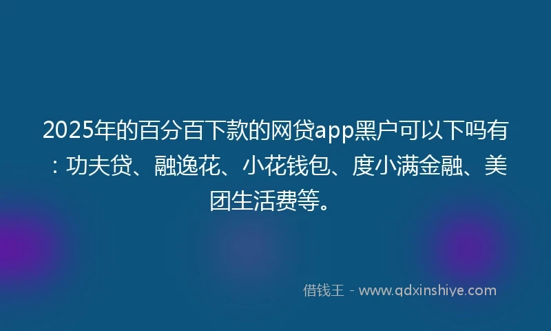 2025年的百分百下款的网贷app黑户可以下吗有：功夫贷、融逸花、小花钱包、度小满金融、美团生活费等。