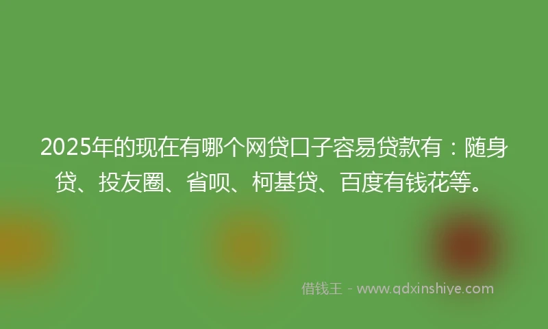 2025年的现在有哪个网贷口子容易贷款有：随身贷、投友圈、省呗、柯基贷、百度有钱花等。
