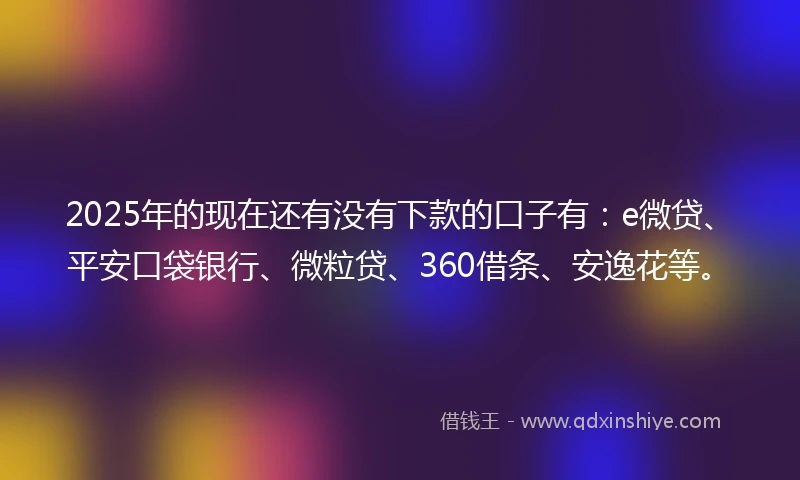 2025年的现在还有没有下款的口子有：e微贷、平安口袋银行、微粒贷、360借条、安逸花等。
