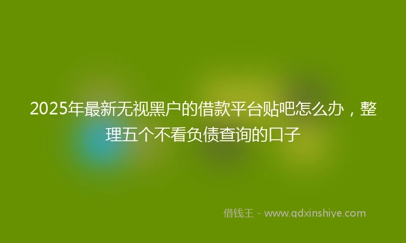 2025年最新无视黑户的借款平台贴吧怎么办，整理五个不看负债查询的口子
