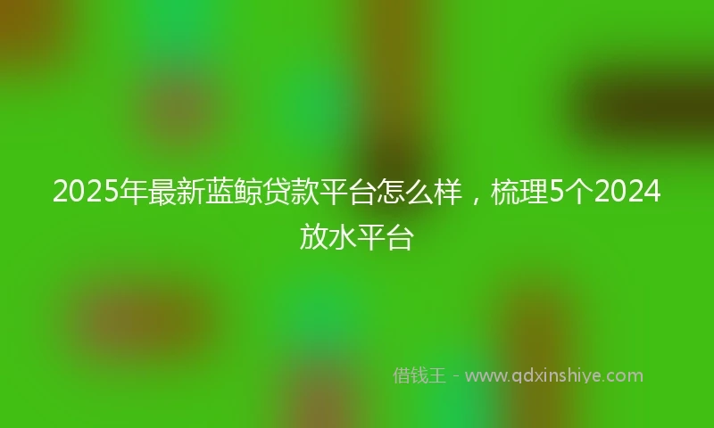 2025年最新蓝鲸贷款平台怎么样，梳理5个2024放水平台