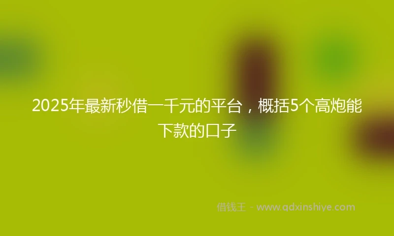 2025年最新秒借一千元的平台，概括5个高炮能下款的口子