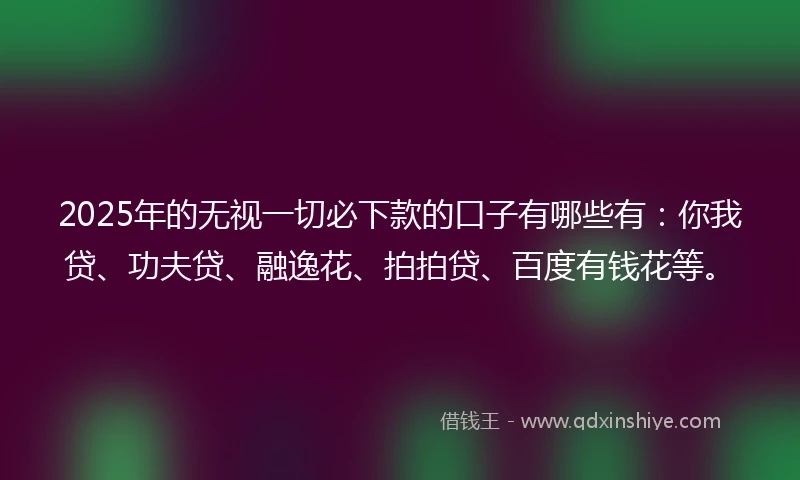 2025年的无视一切必下款的口子有哪些有：你我贷、功夫贷、融逸花、拍拍贷、百度有钱花等。