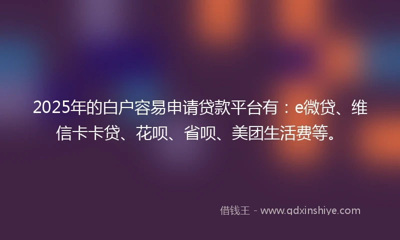 2025年的白户容易申请贷款平台有：e微贷、维信卡卡贷、花呗、省呗、美团生活费等。