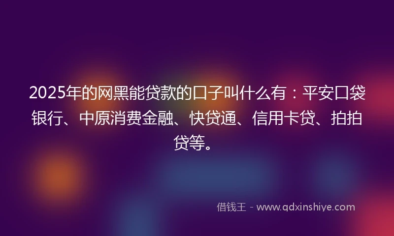 2025年的网黑能贷款的口子叫什么有:平安口袋银行、中原消费金融、快贷通、信用卡贷、拍拍贷等。